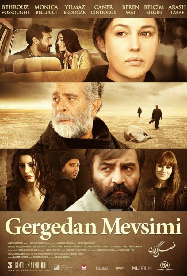 Сезон носорогов постер