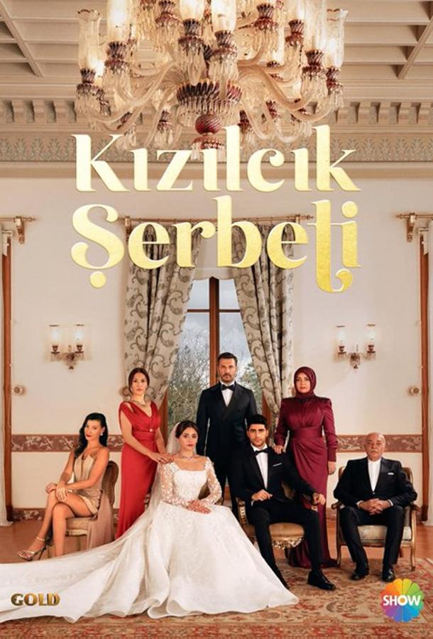 Клюквенный щербет постер