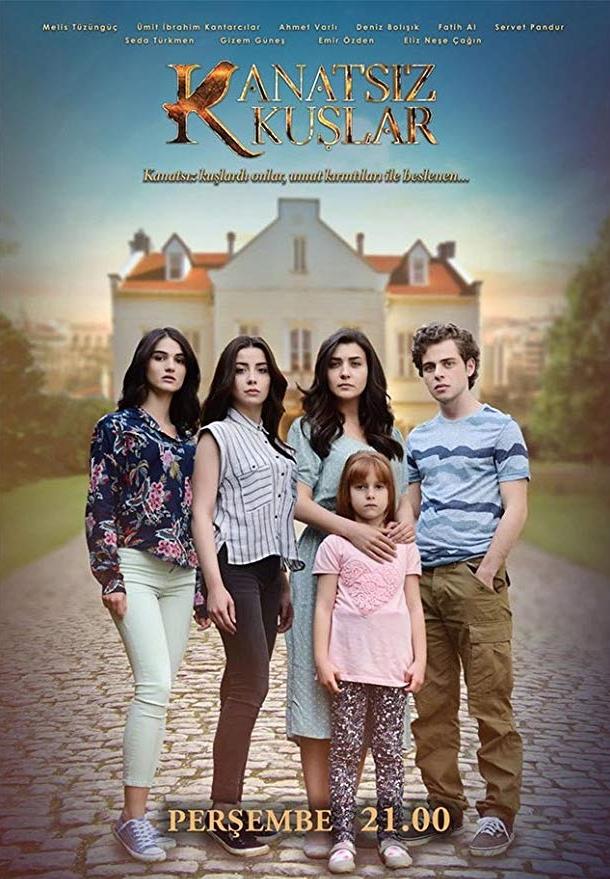 Бескрылые птицы постер