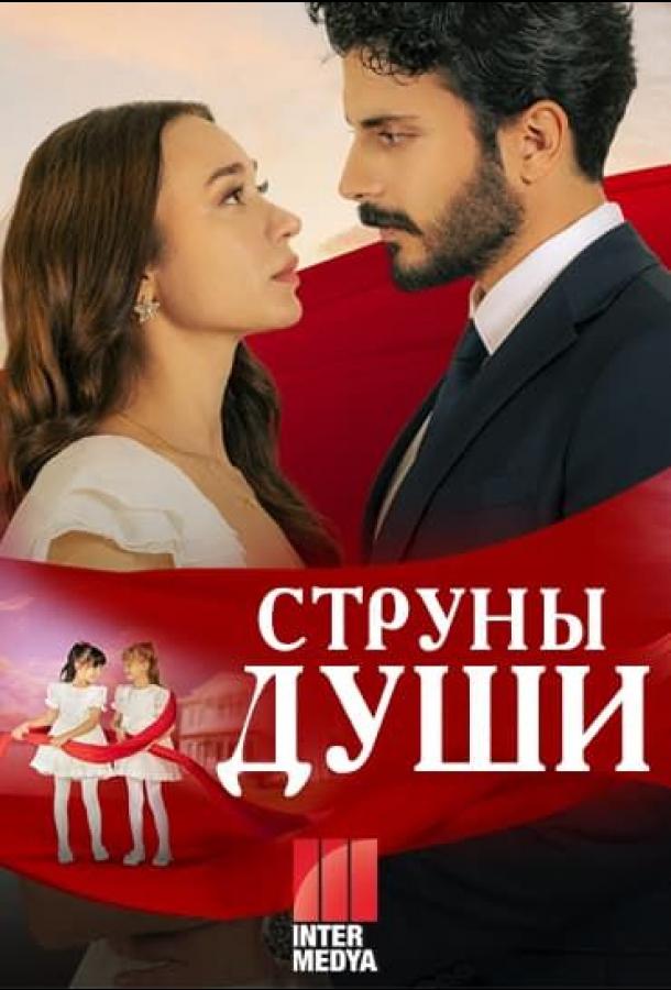 Струны души постер