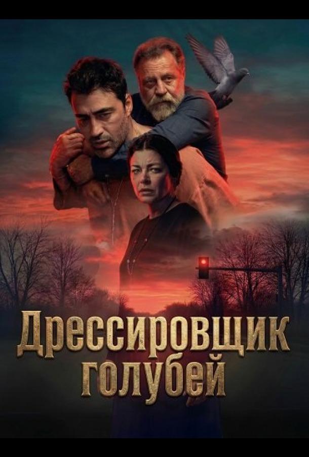 Дрессировщик голубей постер