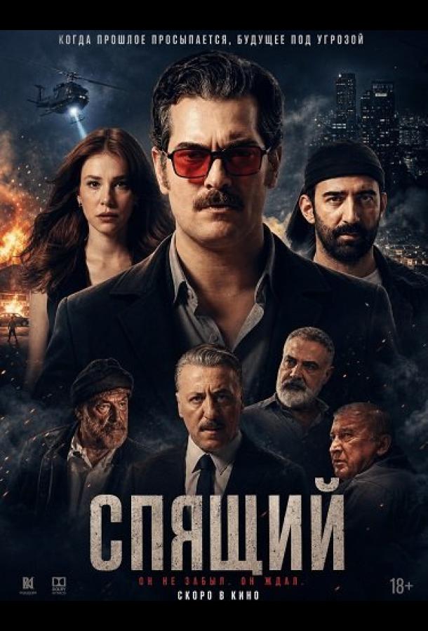 Спящий постер